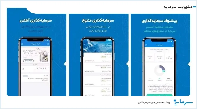 مدیریت سرمایه چیست