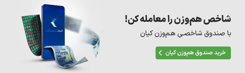 صندوق هم‌وزن 