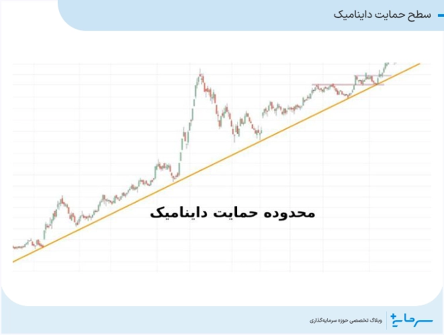حمایت داینامیک